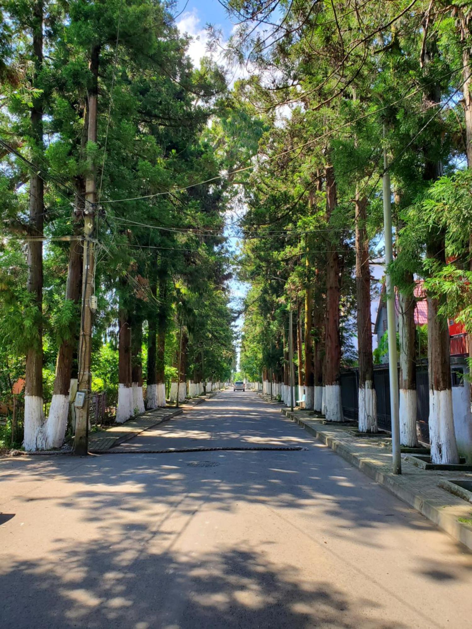 Maka Hotel Ureki Bagian luar foto